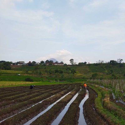 Lahan Tegalan