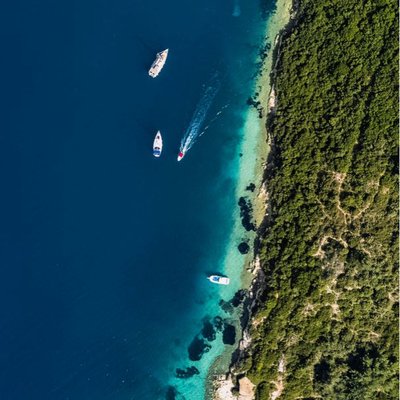 Bird’s Eye View
