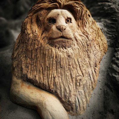Lion made of Sand 🦁🦁