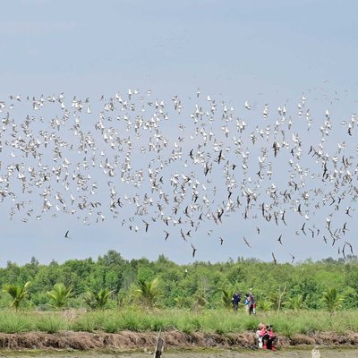 berburu burung migran 