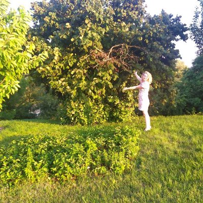 Hazel bush 🌰