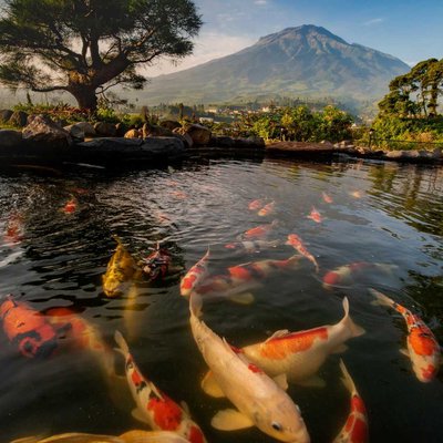 Sigandul View, Temanggung