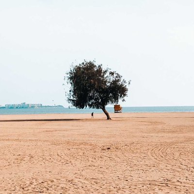 Still Standing Alone.