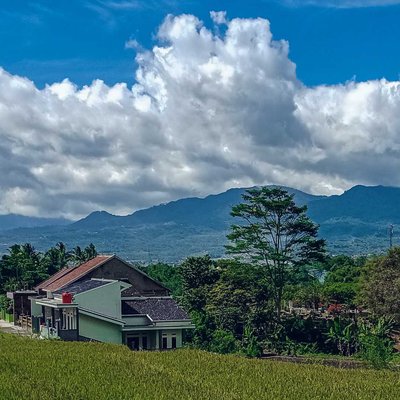 my village