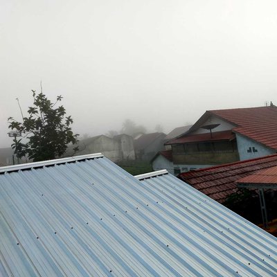 Kabut