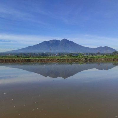 Gunung sago