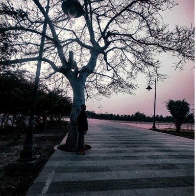 📍Tree at Janeshwar park