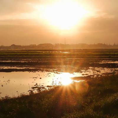 Sunrise