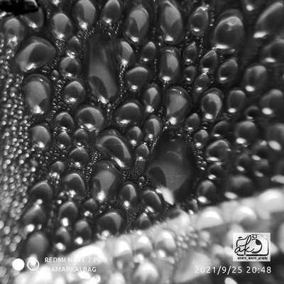 Drops on Chilled Beer Can