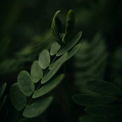 Moody shot