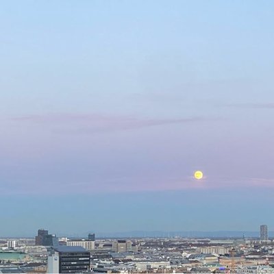 Vienna Panorama 