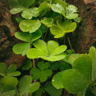water drops 💦