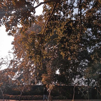 man moving in nature