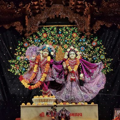 Shri Radha Rani ♥️