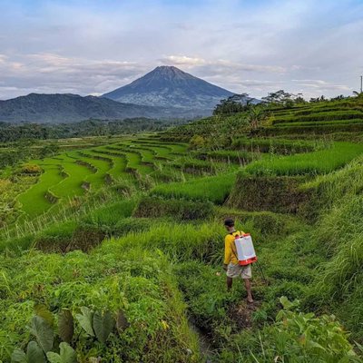Wonderful Indonesia