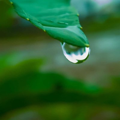 Rain water Drop