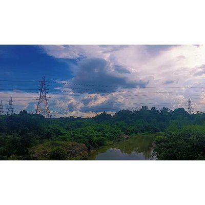 nature 