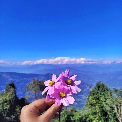 Flowers × Mountain ♡