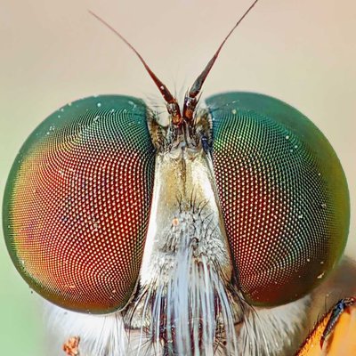 macro ekstrem