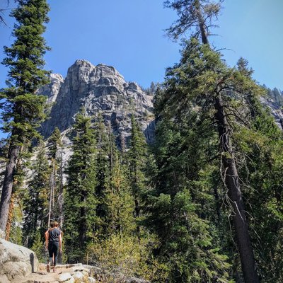 Hiking in the Sequoias