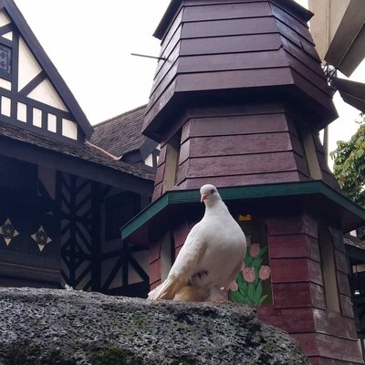 Farm House Lembang 