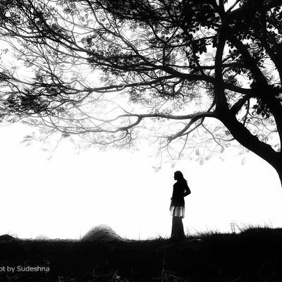 Silence and Solitude ๐ป