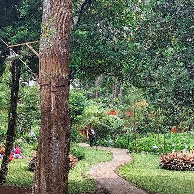 Orchid Forest Cikole