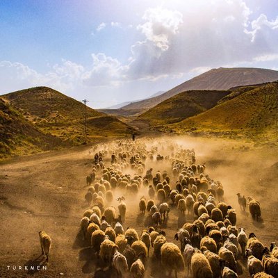 shepherd and his flock (ÇOBAN VE SÜRÜSÜ) 