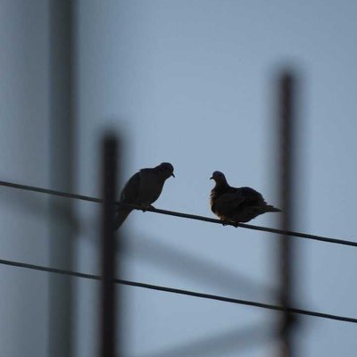 Encuentro