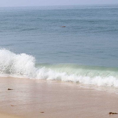 Beach 🏖️