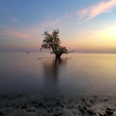 Pecaron Beach