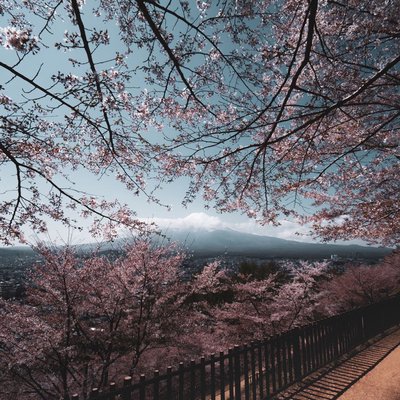 mt fuji inframe