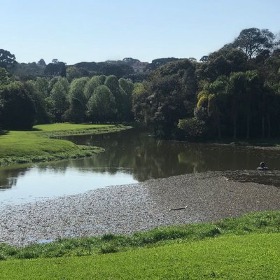 Curitiba 🇧🇷