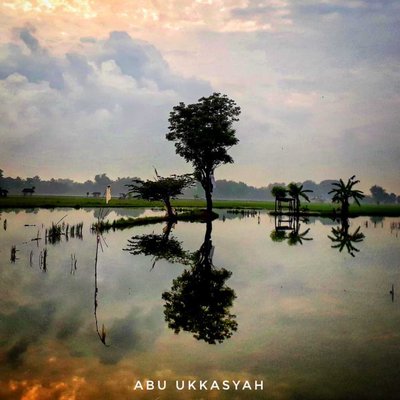 sawah yang tergenang air