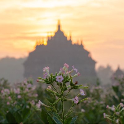 Suasana pagi di candi plaosan