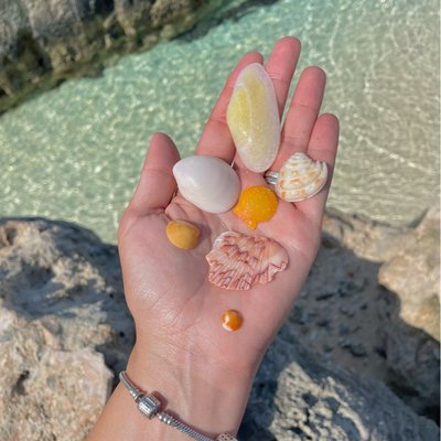 tesoros del mar