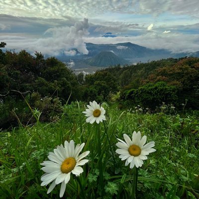Mount Bromo