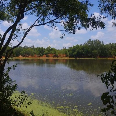 nature beauty 😍