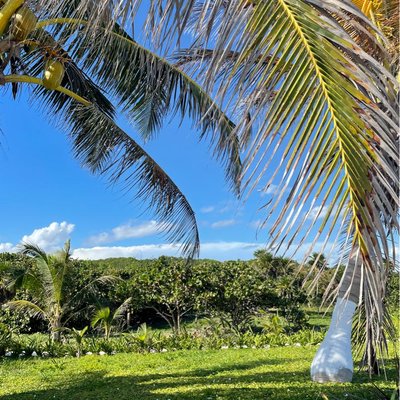 Tulum 🇲🇽