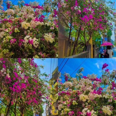 natural photography 