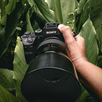 Photography ❤️ 📷