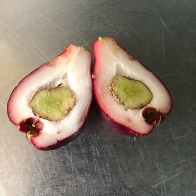 Frutas características de Cuba 🇨🇺 , Albaricoque