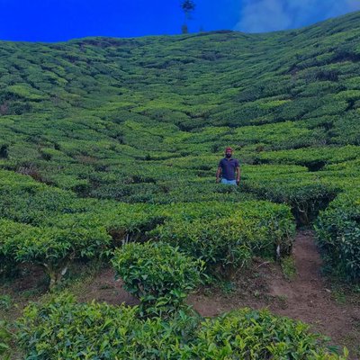 Munnar