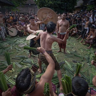 Perang Pandan Tenganan Pegringsingan 