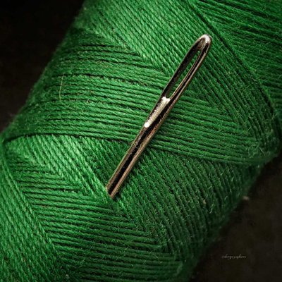 Needle