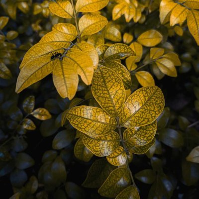 Nature Photography 