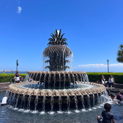 Pineapple Fountain 