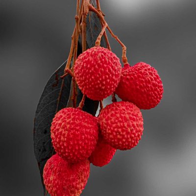 lychee