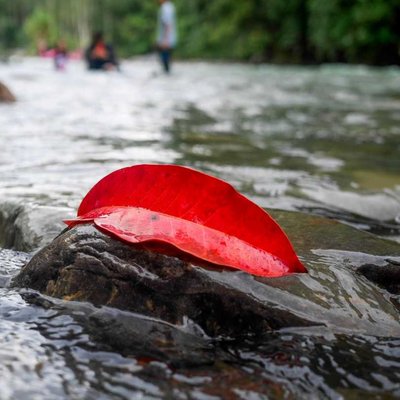 kedamaian River