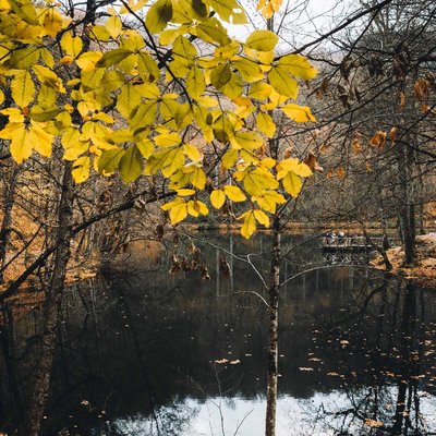 yedigöller, Bolu 